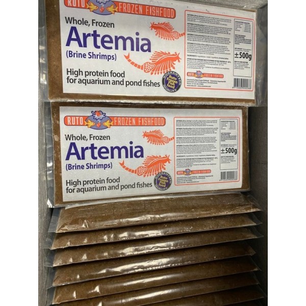 Artemia Ruto - pokarm mrożony