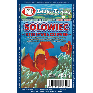 Solowiec Intensywna...